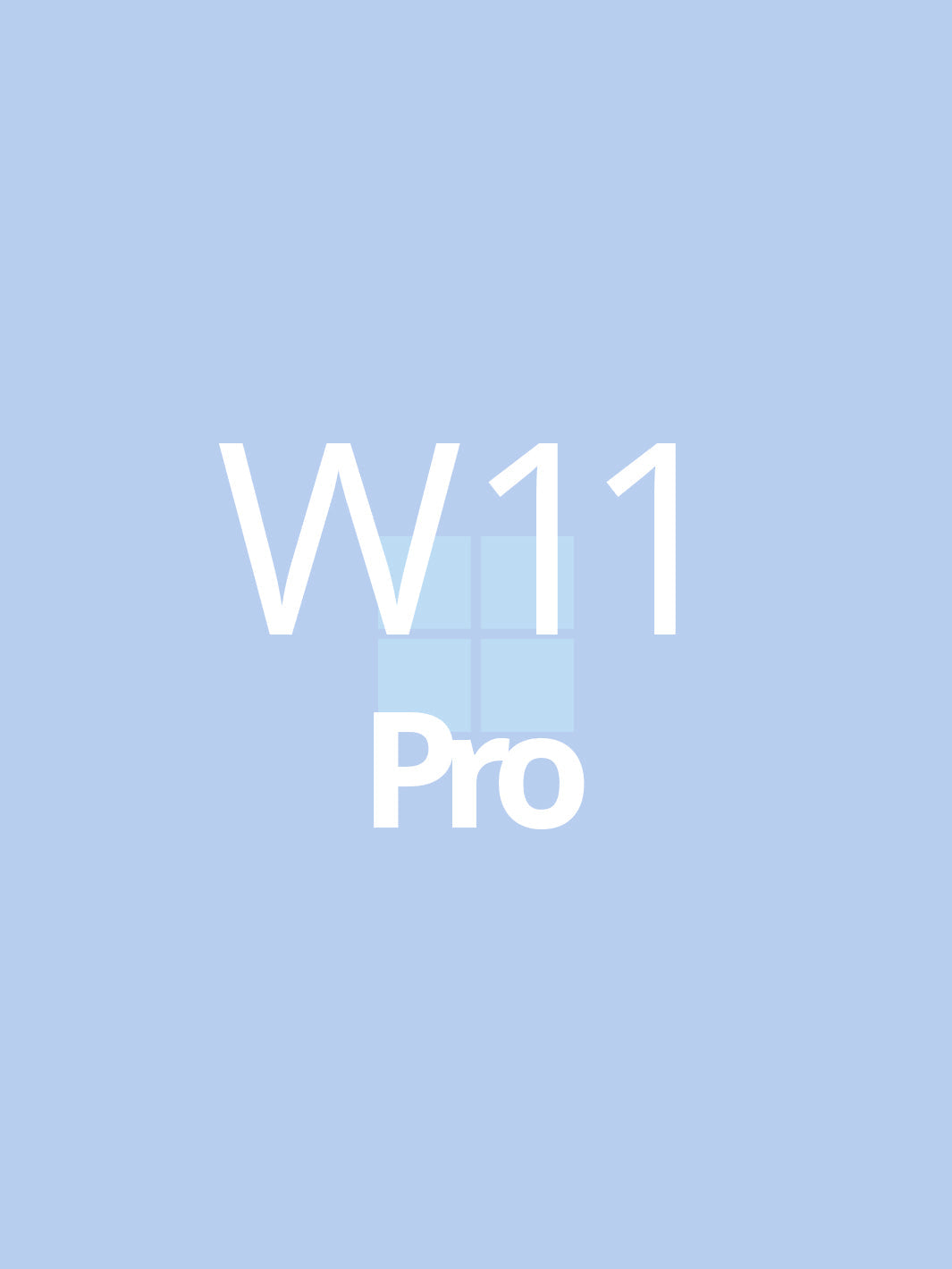 Windows 11 Pro OEM Product Key
