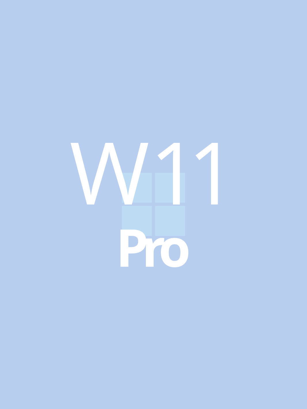 Windows 11 Pro Online Activation OEM Key